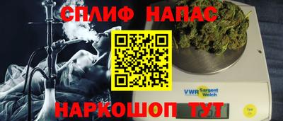 индика Будённовск