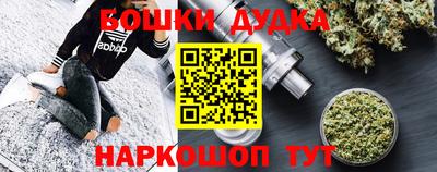 индика Будённовск