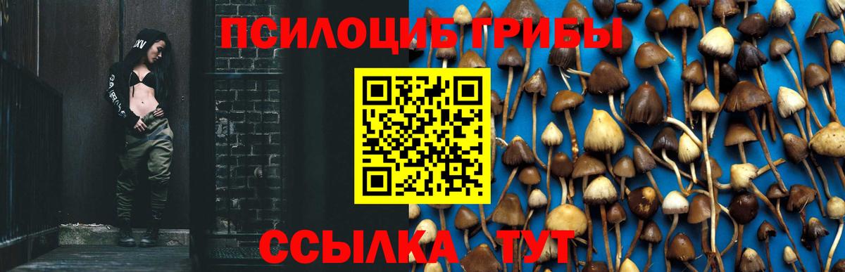 Галлюциногенные грибы ЛСД Партизанск